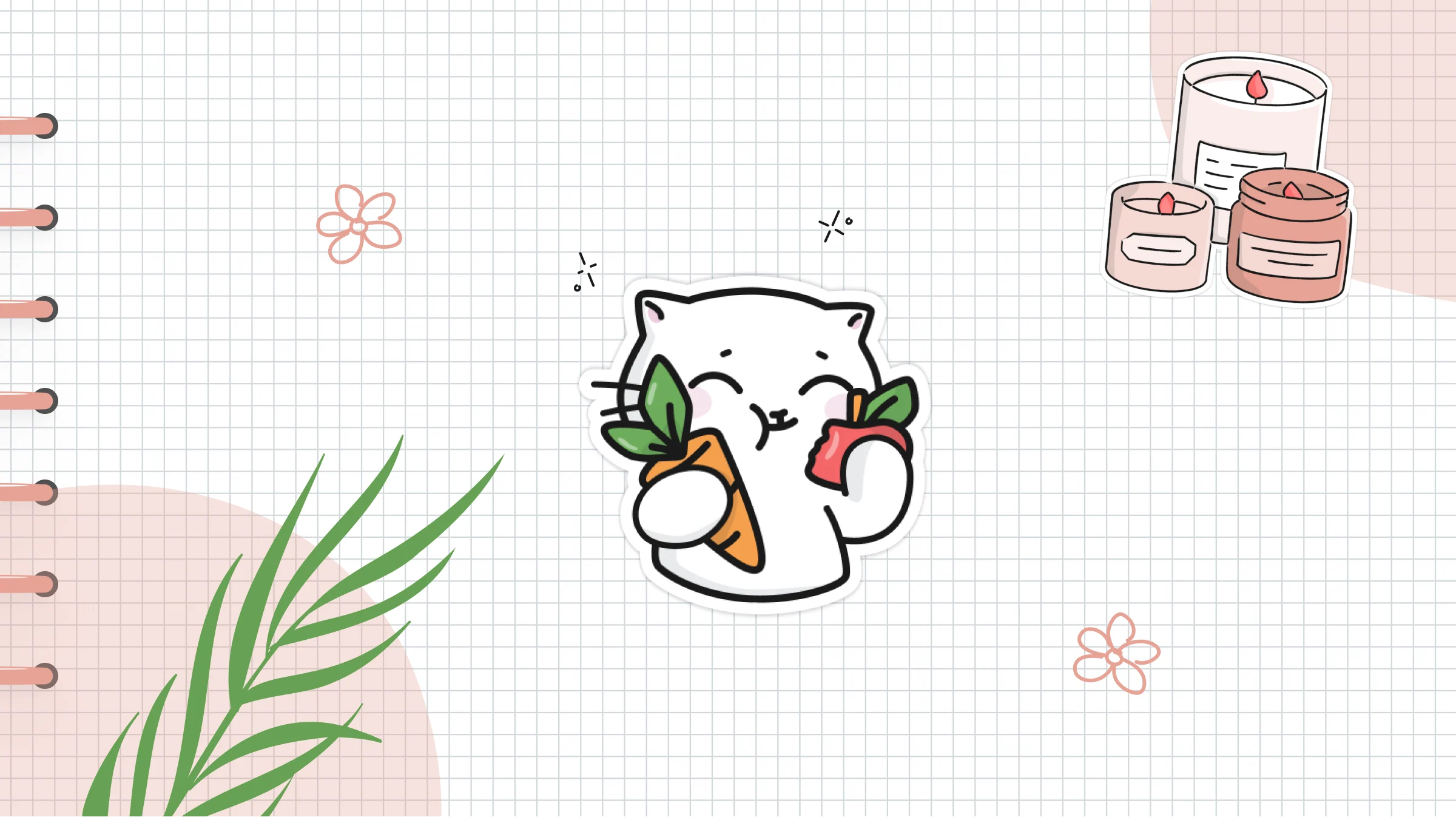 この春、Hizoでルーティンをリフレッシュする方法